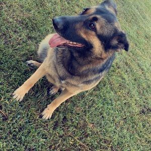 Meet your Posher, Benjamin